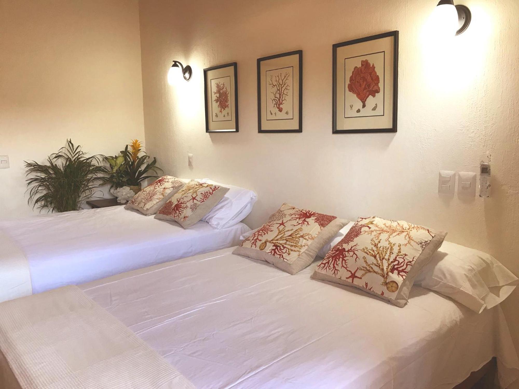 Casa Botanica Hotel Lo de Marcos Ngoại thất bức ảnh