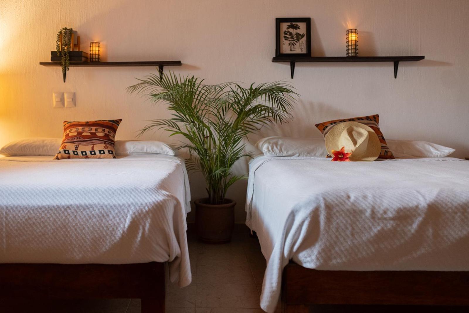 Casa Botanica Hotel Lo de Marcos Ngoại thất bức ảnh