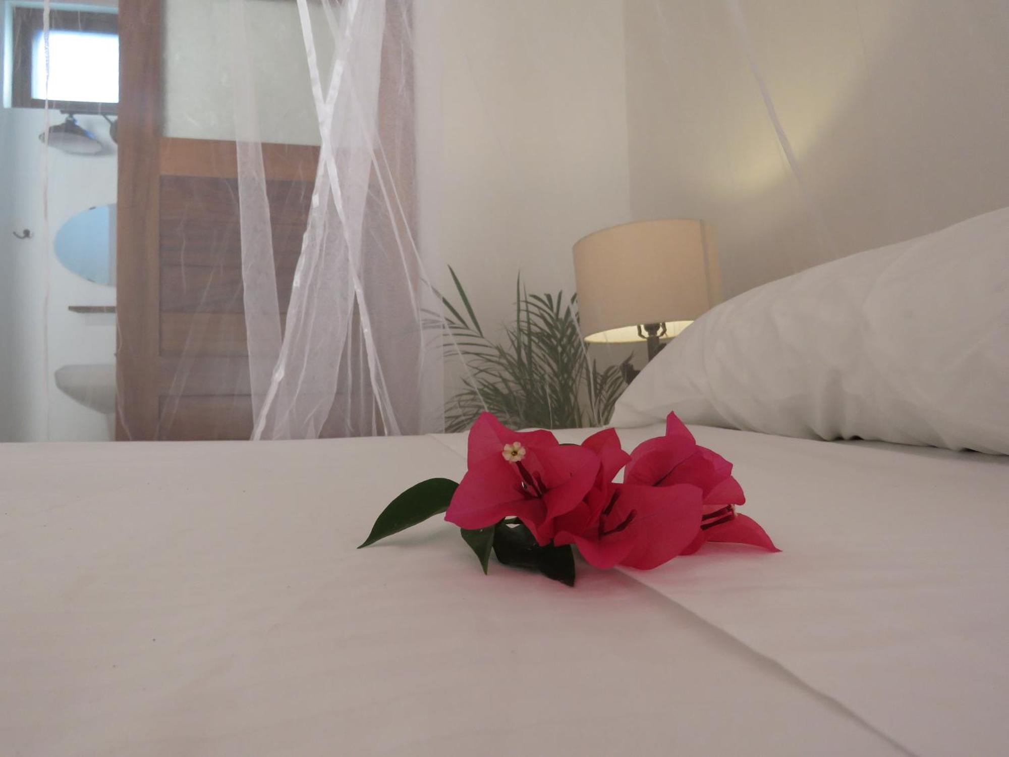 Casa Botanica Hotel Lo de Marcos Ngoại thất bức ảnh