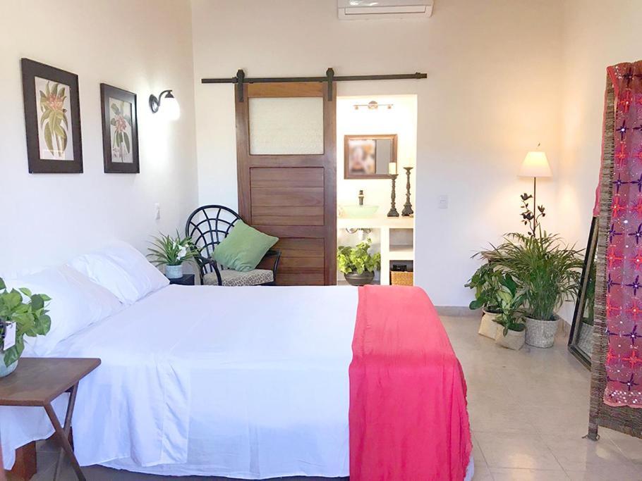 Casa Botanica Hotel Lo de Marcos Ngoại thất bức ảnh